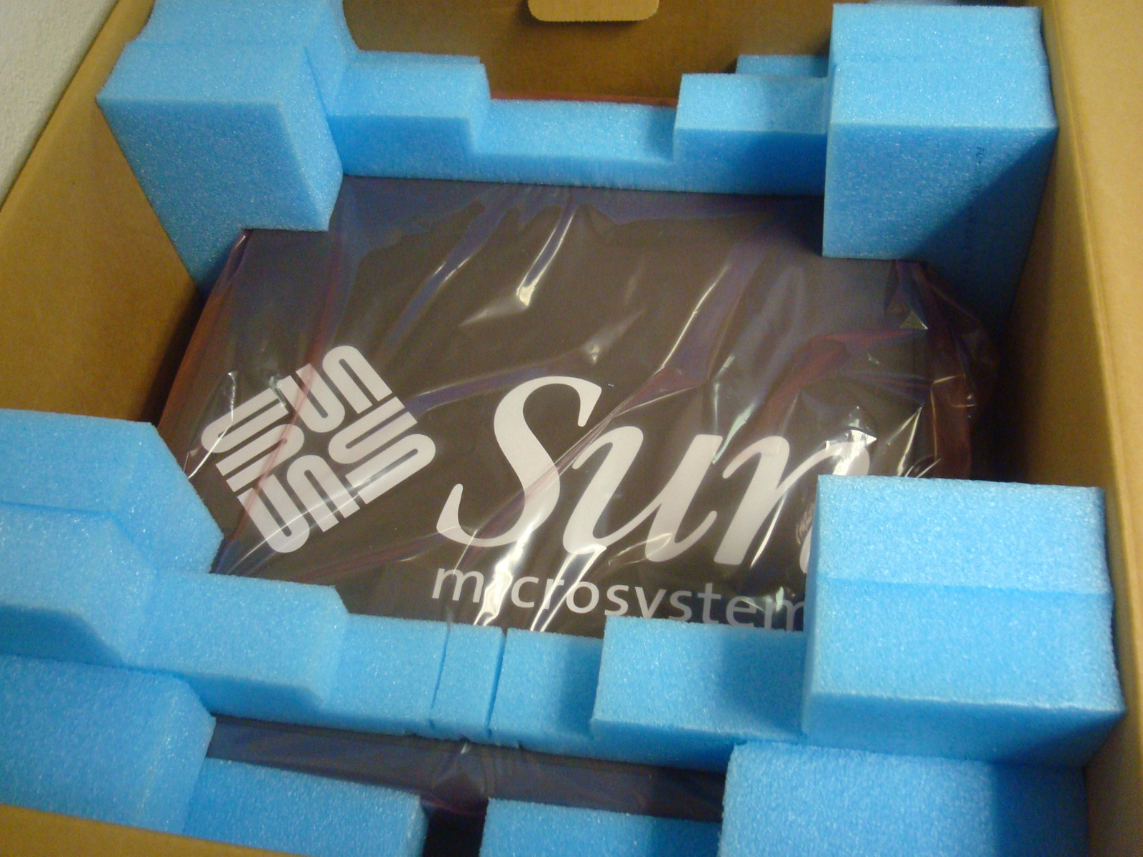 Sun Microsystems Fire V120 (N25AUTA1-9S-512AV1) Server