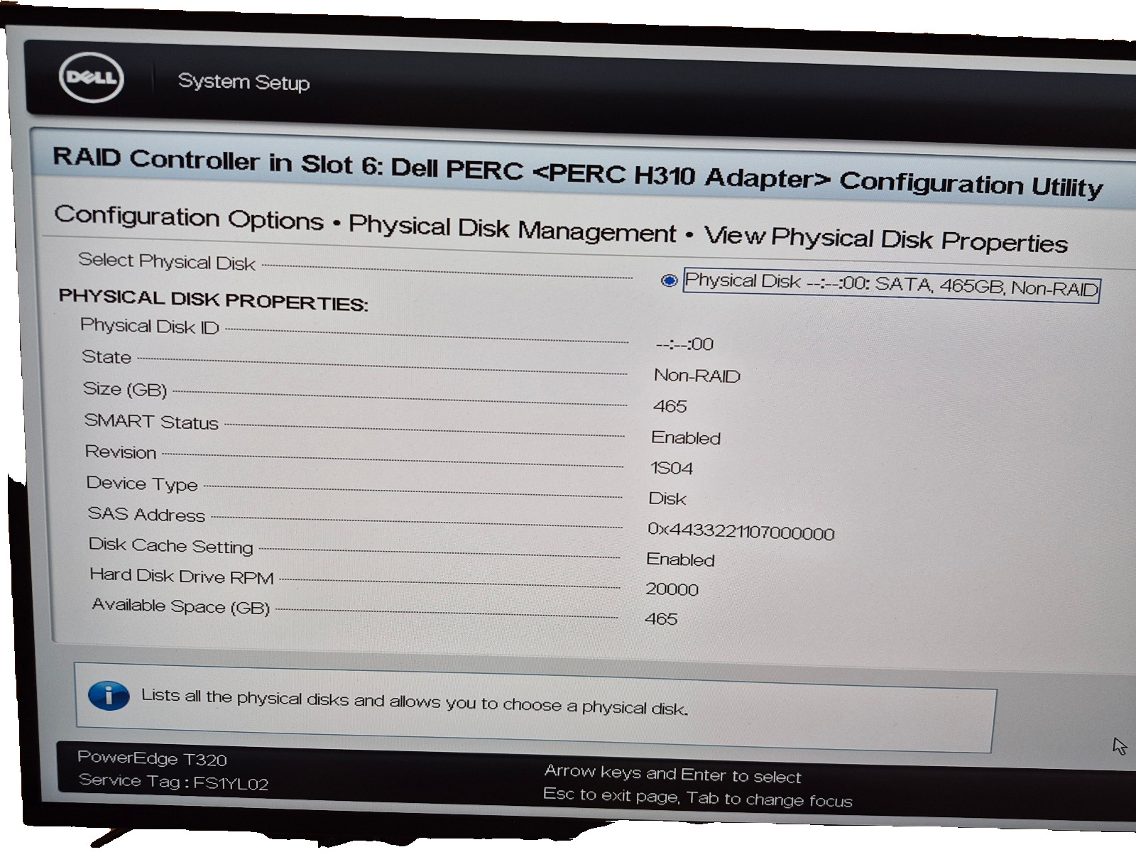 Dell PowerEdge T320 with 256GB SSD, 500GB SATA HDD, 16GB RAM, and Xeon Processor