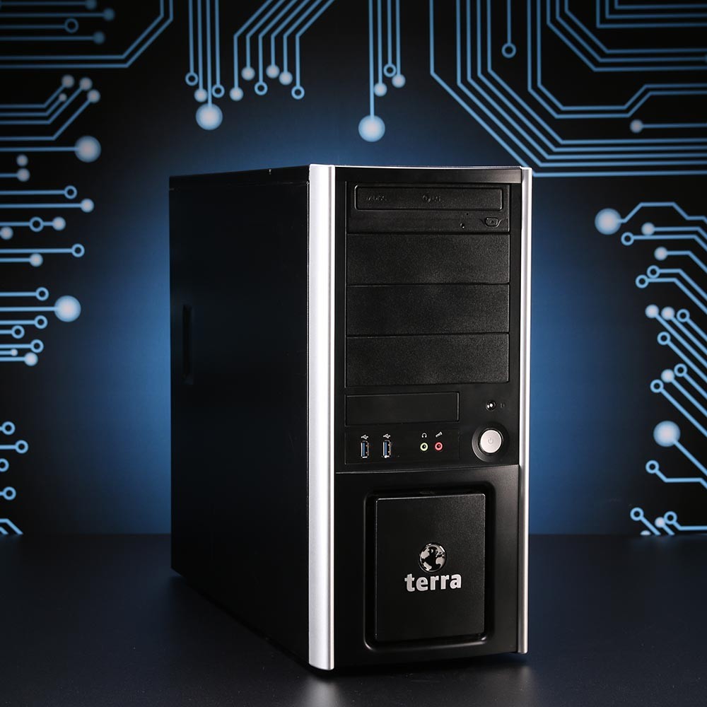 Terra Server // Intel Xeon E-2126G, P11C-X, 32GB RAM